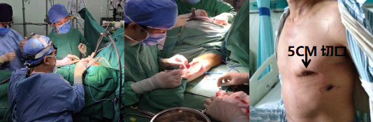 图片44.jpg 图片44.jpg