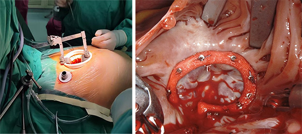 图片47.jpg 图片47.jpg