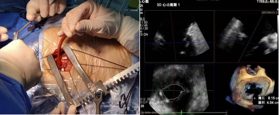 图片51.jpg 图片51.jpg