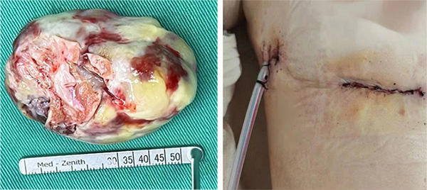 图片53.jpg 图片53.jpg