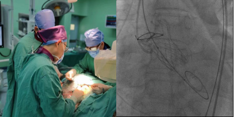 图片57.jpg 图片57.jpg